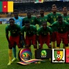 Allez Les Lions CAN 2015