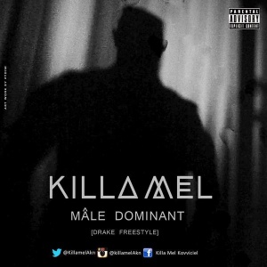 MÂLE DOMINANT (Part 1) [Drake Freestyle]