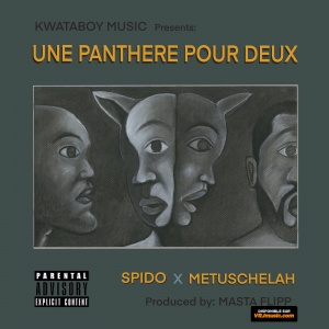 Une Panthère pour deux ft. Metuschelah