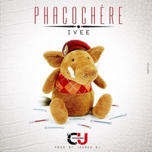 Phacochere 