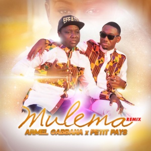 Mulema Remix ft. Petit Pays 